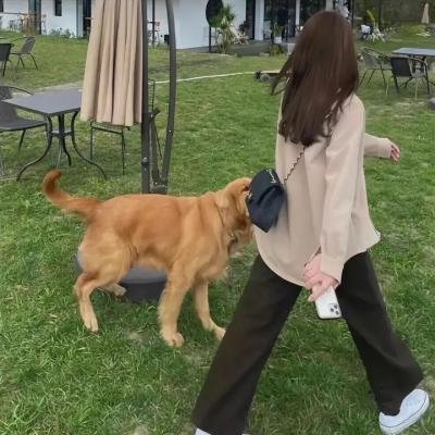 死亡真面目3