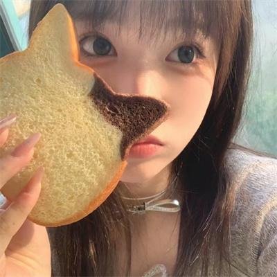 完美的独裁国家